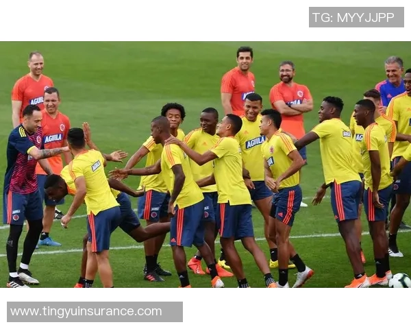 法国队逆转秘鲁队以2比1获胜展现强大实力与团队合作精神