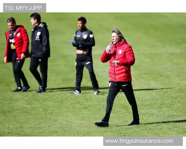 瑞典与秘鲁足球队激战正酣精彩对决引发球迷热议