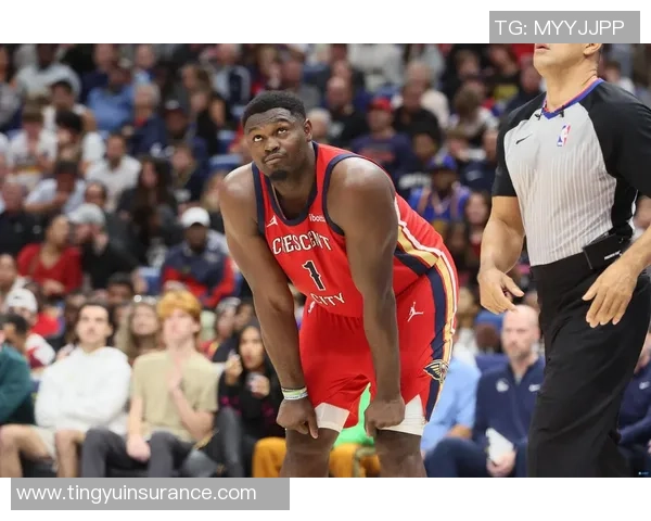 锡安体重问题持续发酵鹈鹕队引入营养师全方位监控饮食健康