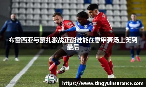 布雷西亚与蒙扎激战正酣谁能在意甲赛场上笑到最后