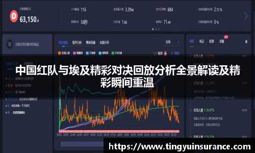 中国红队与埃及精彩对决回放分析全景解读及精彩瞬间重温