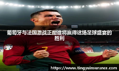 葡萄牙与法国激战正酣谁将赢得这场足球盛宴的胜利