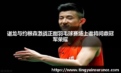 谌龙与约根森激战正酣羽毛球赛场上谁将问鼎冠军荣耀